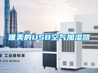 知識百科唯美的USB空氣加濕器