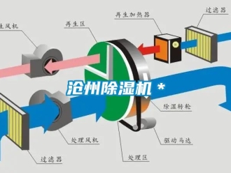 企業(yè)新聞滄州除濕機(jī)＊