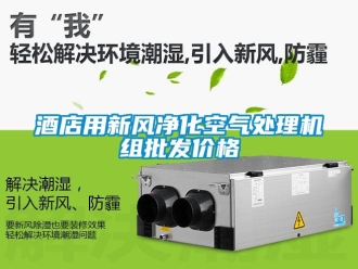 企業(yè)新聞酒店用新風(fēng)凈化空氣處理機(jī)組批發(fā)價(jià)格
