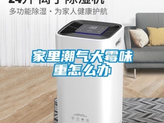 常見問題家里潮氣大霉味重怎么辦