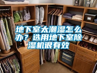 常見問題地下室太潮濕怎么辦？選用地下室除濕機很有效