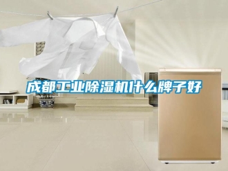 常見問題成都工業除濕機什么牌子好