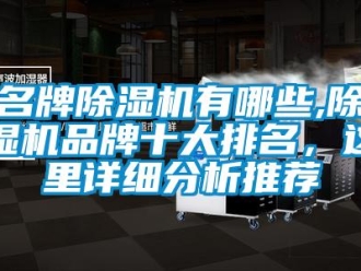 企業新聞名牌除濕機有哪些,除濕機品牌十大排名，這里詳細分析推薦
