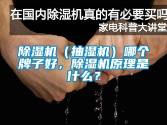 企業新聞除濕機（抽濕機）哪個牌子好，除濕機原理是什么？