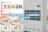 全球除濕機十大品牌排名企業評選
