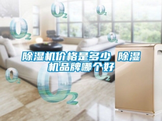 企業新聞除濕機價格是多少 除濕機品牌哪個好