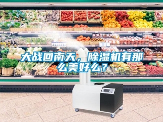 企業新聞大戰回南天，除濕機有那么美好么？