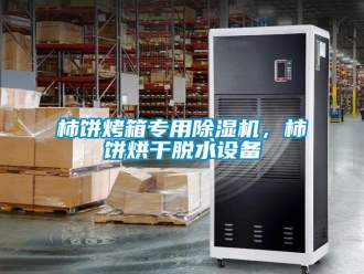 知識百科柿餅烤箱專用除濕機，柿餅烘干脫水設備