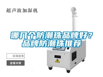 常見問題哪幾個防潮珠品牌好？品牌防潮珠推薦