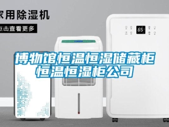常見問題博物館恒溫恒濕儲藏柜恒溫恒濕柜公司