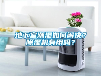 常見問題地下室潮濕如何解決？除濕機有用嗎？