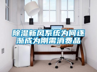 企業新聞除濕新風系統為何逐漸成為剛需消費品