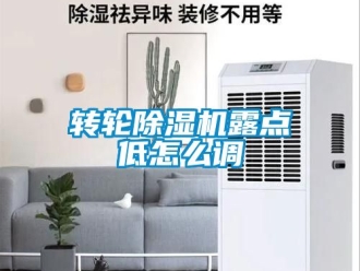 常見(jiàn)問(wèn)題轉(zhuǎn)輪除濕機(jī)露點(diǎn)低怎么調(diào)