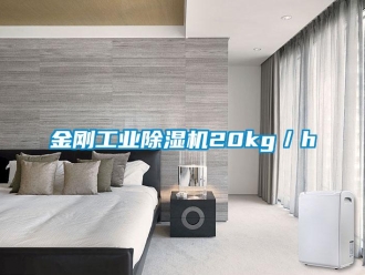 行業新聞金剛工業除濕機20kg／h