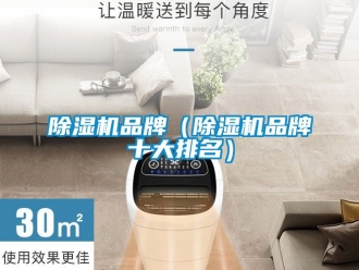 企業(yè)新聞除濕機品牌（除濕機品牌十大排名）