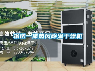 行業新聞輸送一體熱風除濕干燥機