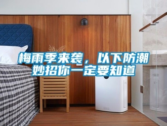 常見(jiàn)問(wèn)題梅雨季來(lái)襲，以下防潮妙招你一定要知道