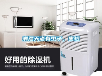 企業新聞潮濕天老有蟲子，害怕
