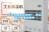 還在為回南天煩惱？ 四款高效除濕機推薦