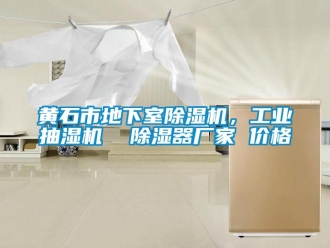 企業新聞黃石市地下室除濕機，工業抽濕機  除濕器廠家 價格