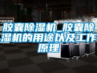 行業新聞膠囊除濕機_膠囊除濕機的用途以及工作原理