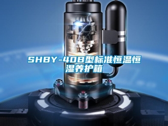 常見(jiàn)問(wèn)題SHBY-40B型標(biāo)準(zhǔn)恒溫恒濕養(yǎng)護(hù)箱