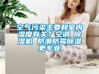 行業新聞空氣污染主要和室內濕度有關？空調≠除濕機 防潮防霉除濕更專業