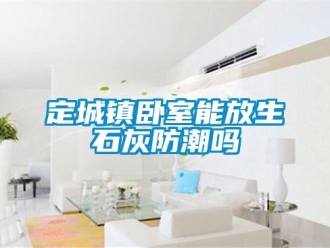 常見問題定城鎮臥室能放生石灰防潮嗎