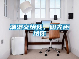 企業新聞潮濕交給我，陽光還給你