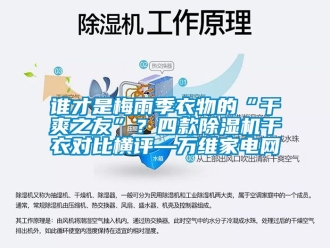 行業新聞誰才是梅雨季衣物的“干爽之友”？四款除濕機干衣對比橫評—萬維家電網