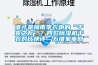 誰才是梅雨季衣物的“干爽之友”？四款除濕機干衣對比橫評—萬維家電網