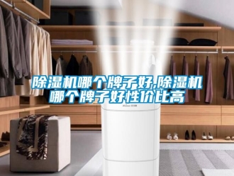 行業新聞除濕機哪個牌子好,除濕機哪個牌子好性價比高