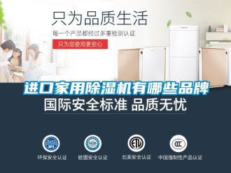 企業新聞進口家用除濕機有哪些品牌