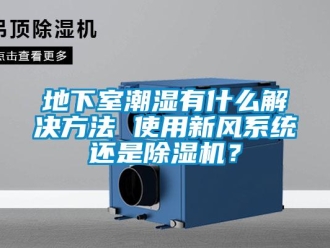 常見問題地下室潮濕有什么解決方法 使用新風系統還是除濕機？