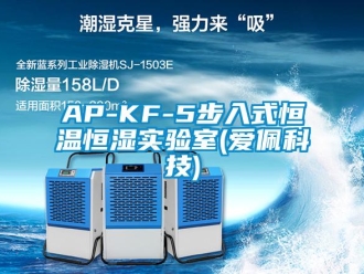 常見問題AP-KF-5步入式恒溫恒濕實驗室(愛佩科技)