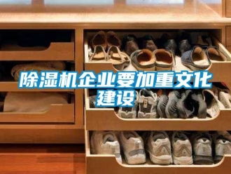 常見(jiàn)問(wèn)題除濕機(jī)企業(yè)要加重文化建設(shè)