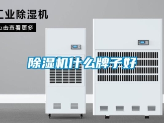 企業新聞除濕機什么牌子好