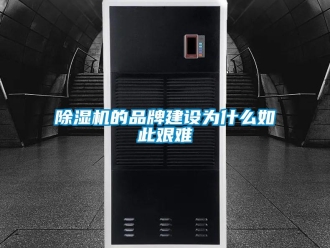 常見問題除濕機的品牌建設為什么如此艱難