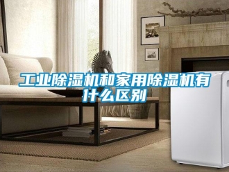 企業(yè)新聞工業(yè)除濕機和家用除濕機有什么區(qū)別