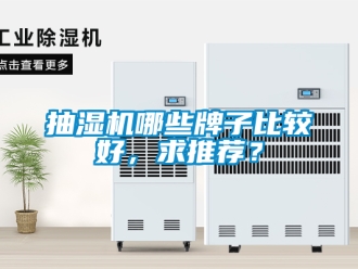 企業新聞抽濕機哪些牌子比較好，求推薦？