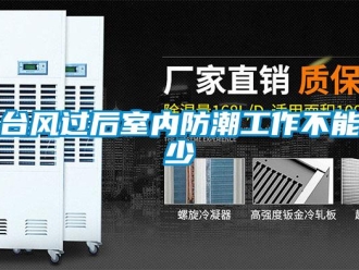 知識百科臺風(fēng)過后室內(nèi)防潮工作不能少