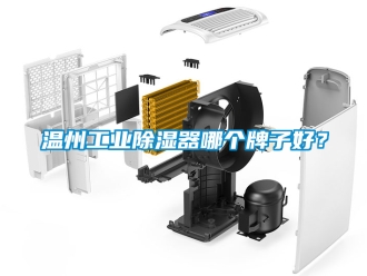 行業新聞溫州工業除濕器哪個牌子好？