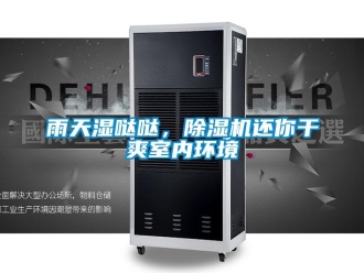 知識百科雨天濕噠噠，除濕機還你干爽室內環境