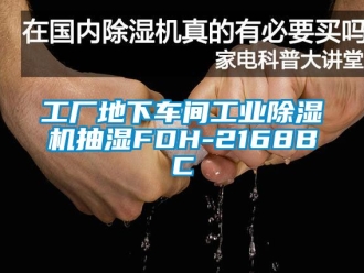 常見問題工廠地下車間工業除濕機抽濕FDH-2168BC