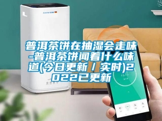 企業新聞普洱茶餅在抽濕會走味-普洱茶餅聞著什么味道(今日更新／實時)2022已更新