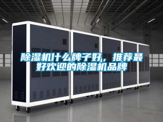 企業新聞除濕機什么牌子好，推薦最好歡迎的除濕機品牌