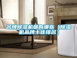 企業新聞名牌除濕機都有哪些（除濕機品牌十佳排名）