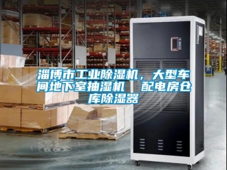 常見問題淄博市工業除濕機，大型車間地下室抽濕機  配電房倉庫除濕器