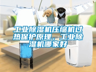 常見問題工業除濕機壓縮機過熱保護原理，工業除濕機哪家好
