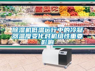 企業新聞除濕機低溫運行中的冷凝器溫度變化對機組性重要影響